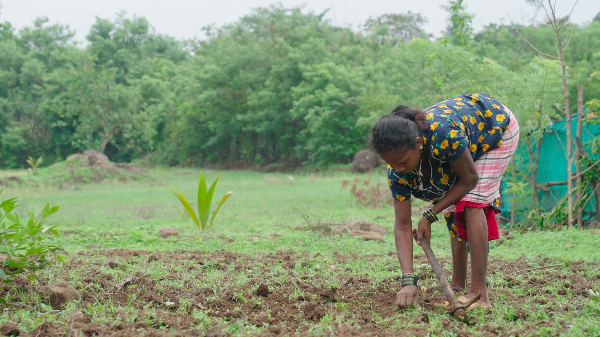 Donna al lavoro in un campo in India